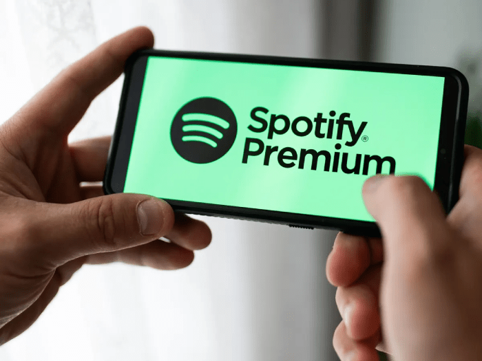 Buy the Spotify Premium Package so he can have a better music listening experience.