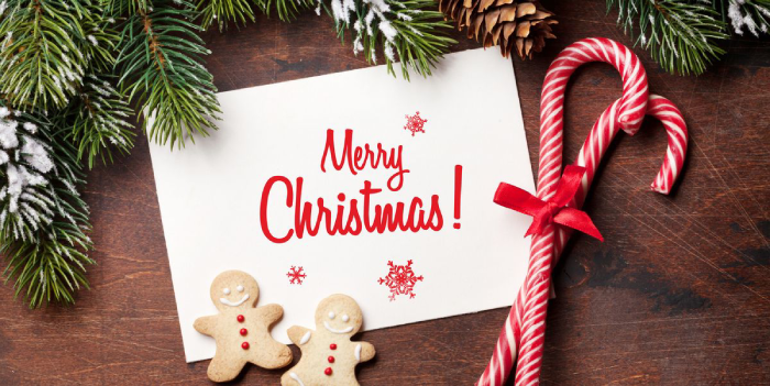 Heartfelt Christmas Greetings for Your Partner's Card