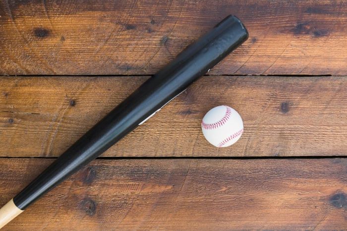 Customized Baseball Bat